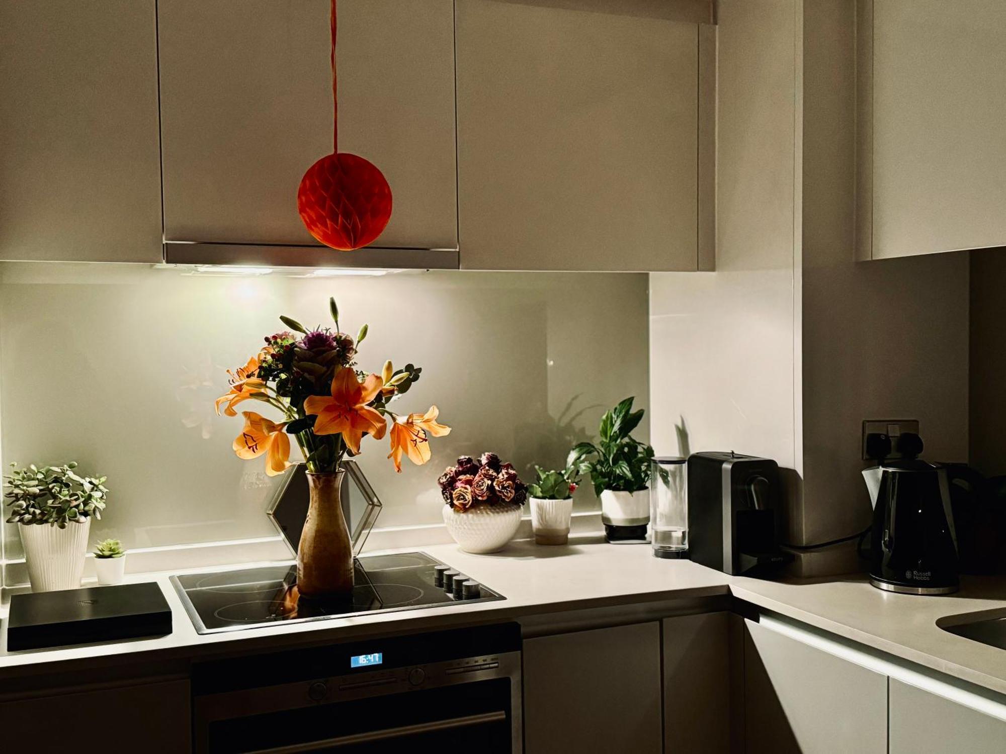 Appartamento Luxury City And River View *